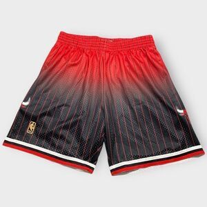 Mitchell & Ness Chicago Bulls 1995 Fadeaway Swingman Shorts Mens size XL New